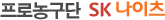 ���γ󱸴� SK ������