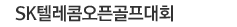 SK�ڷ��� ���°���